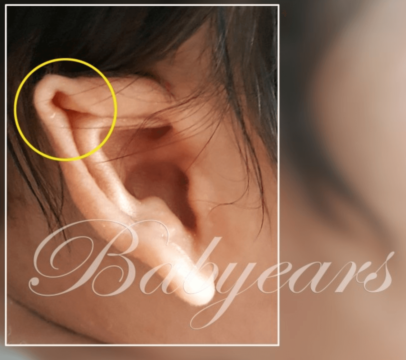 요정귀 1